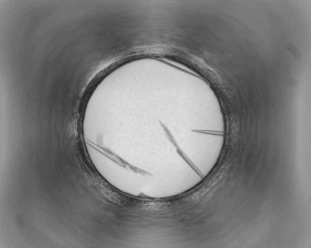 X0000111001166200907171807