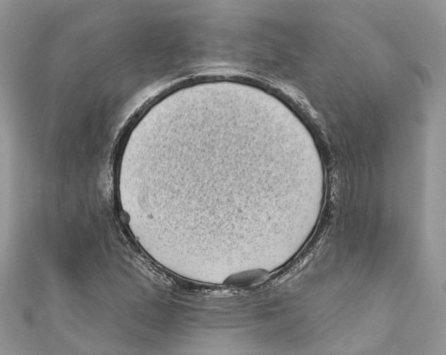 X0000111001167200907171807