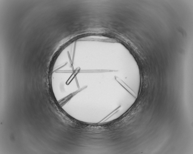 X0000111001168200907171807