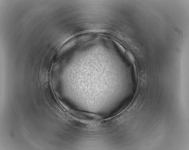 X0000111001169200907171807