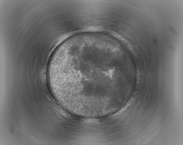 X0000111001170200907171807