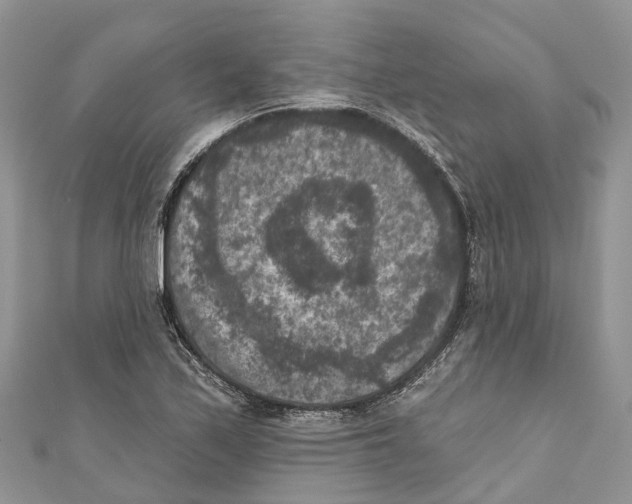 X0000111001171200907171807