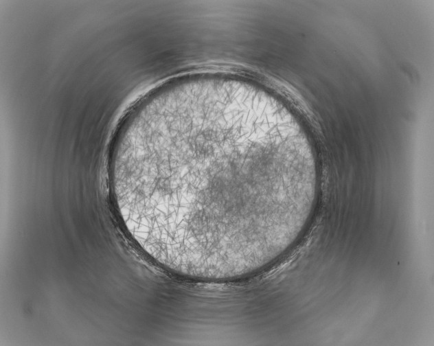 X0000111001172200907171807