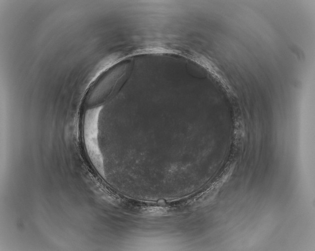 X0000111001173200907171807