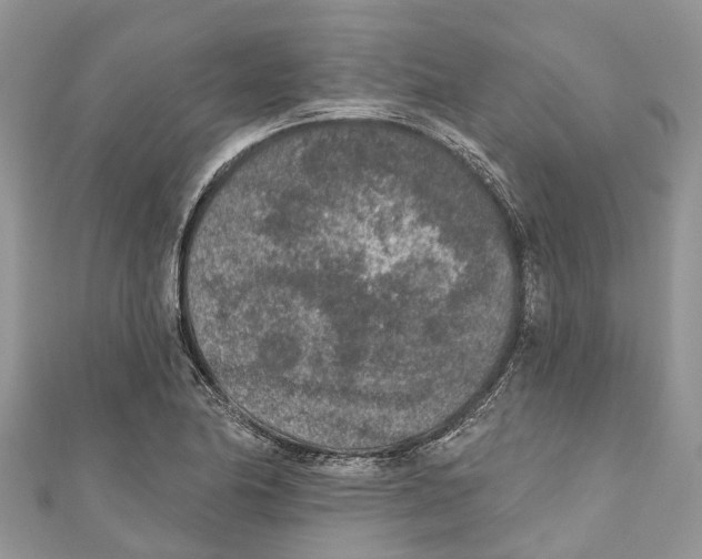 X0000111001174200907171807