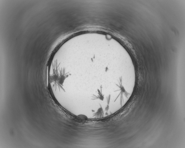 X0000111001175200907171807