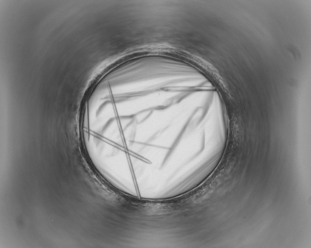 X0000111001176200907171807