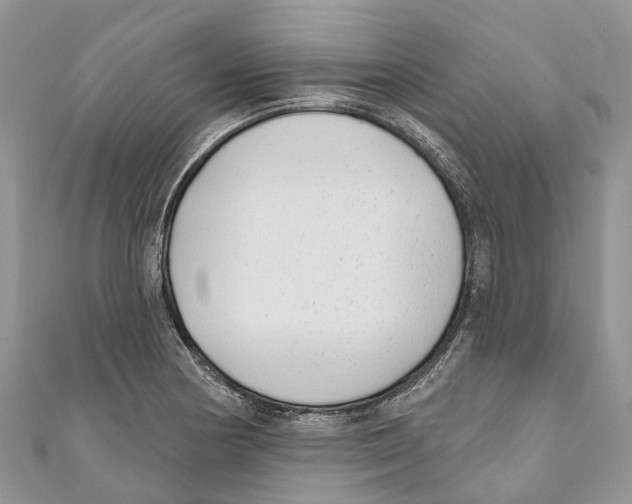 X0000111001178200907171807