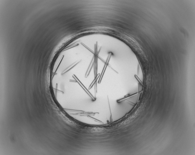 X0000111001180200907171807