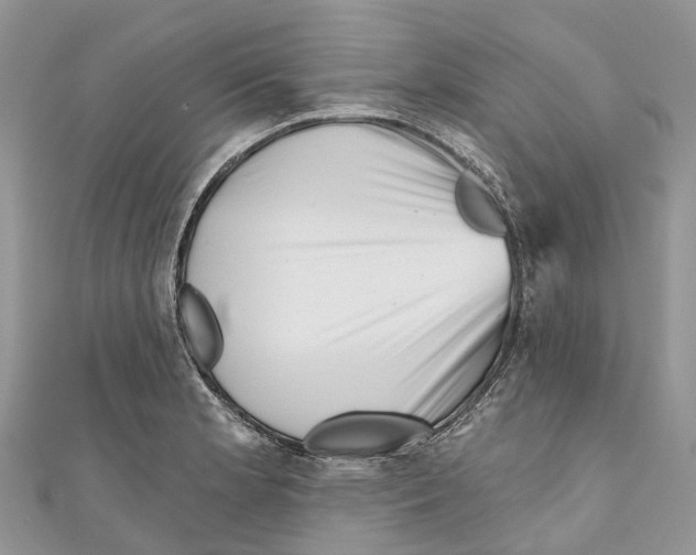 X0000111001181200907171807