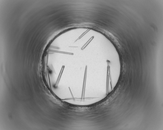 X0000111001184200907171807