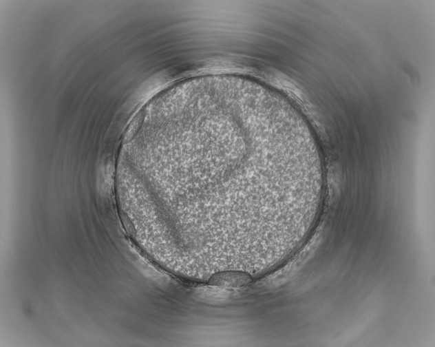 X0000111001185200907171807