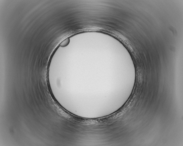 X0000111001186200907171807