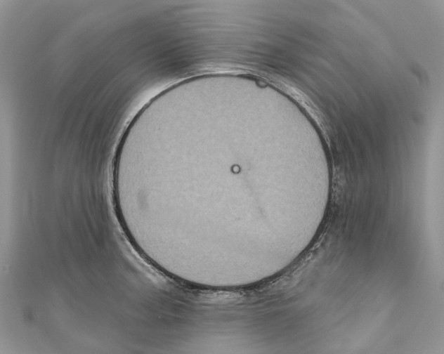 X0000111001187200907171807