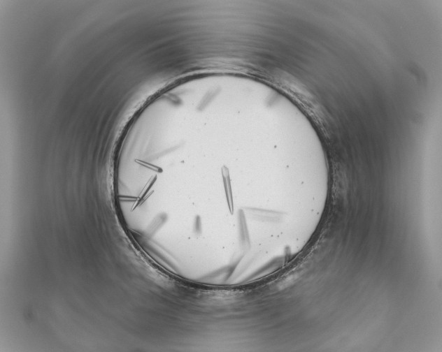 X0000111001188200907171807