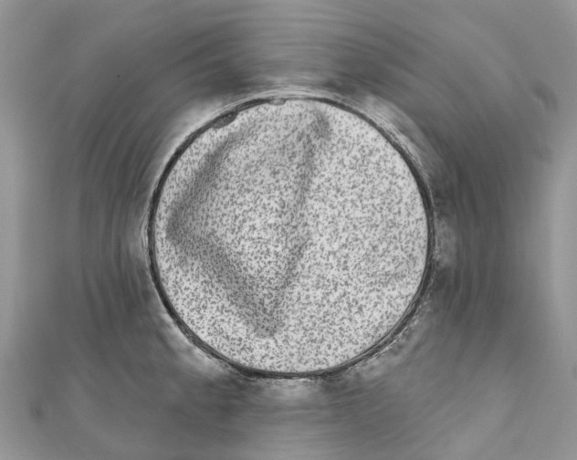 X0000111001189200907171807