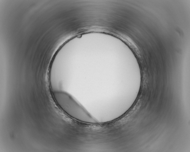 X0000111001190200907171807