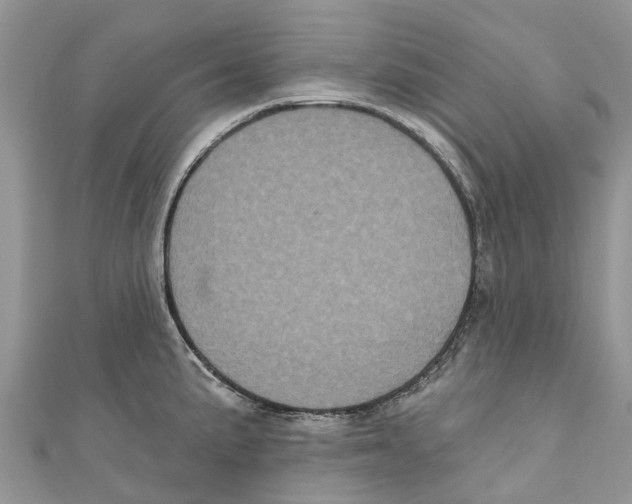 X0000111001191200907171807