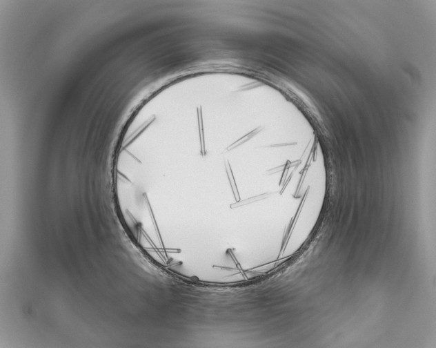 X0000111001192200907171807