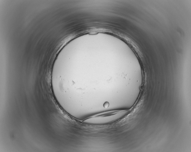 X0000111001193200907171806