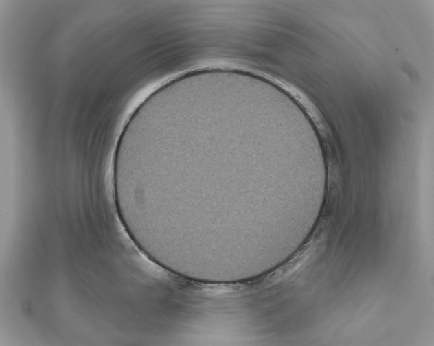 X0000111001199200907171806