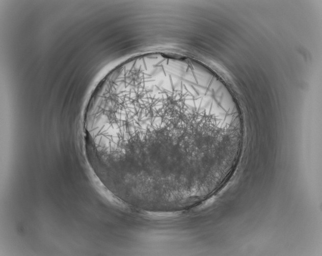 X0000111001200200907171806