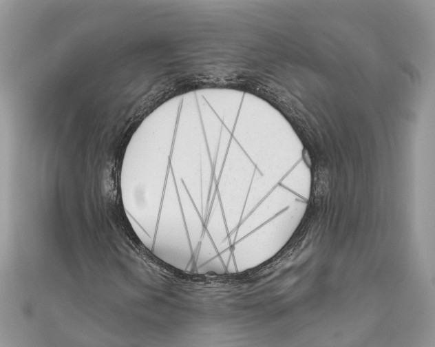 X0000111001202200907171806