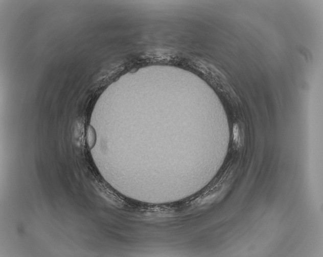 X0000111001203200907171806