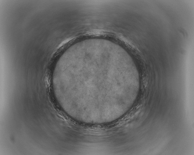 X0000111001206200907171806