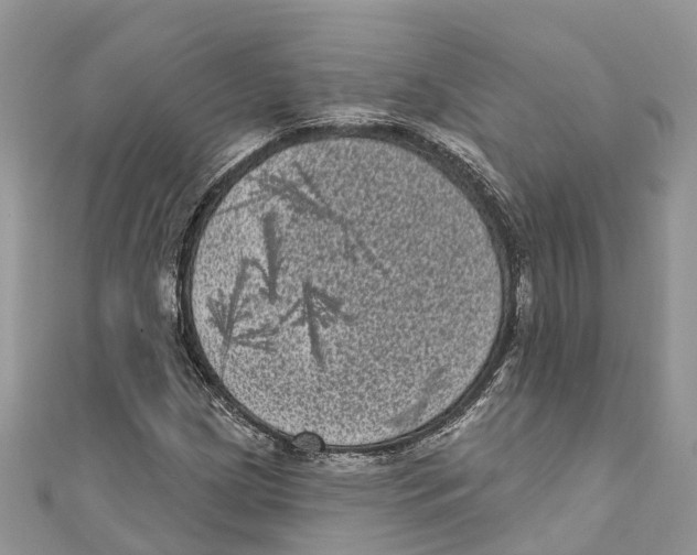 X0000111001209200907171806