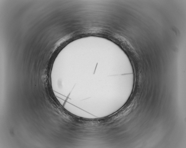 X0000111001210200907171806