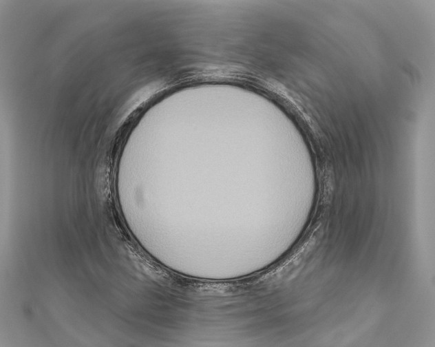 X0000111001211200907171806