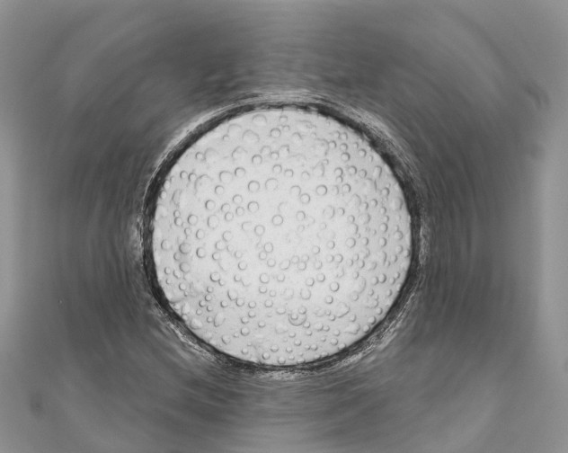 X0000111001212200907171806