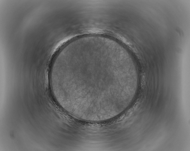 X0000111001214200907171806