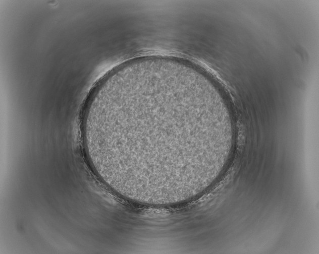 X0000111001215200907171806