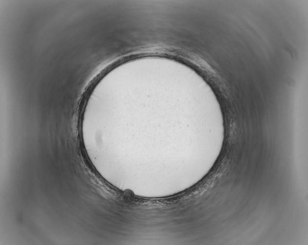 X0000111001216200907171806