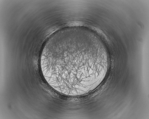 X0000111001217200907171806