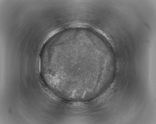 X0000111001219200907171806