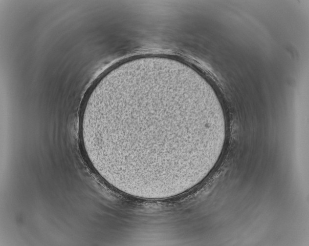 X0000111001220200907171806