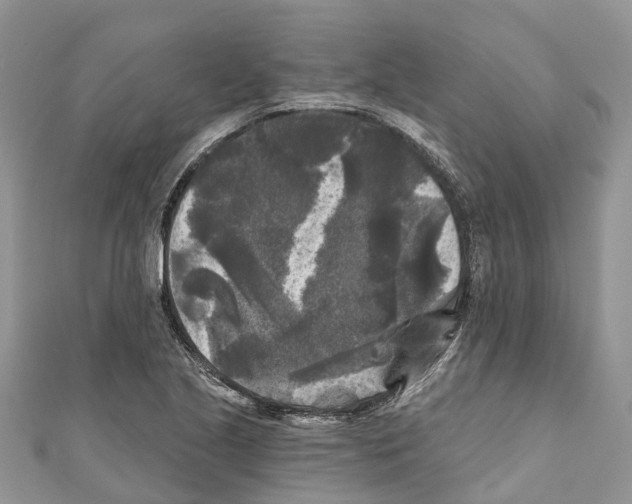 X0000111001221200907171806