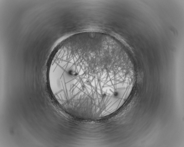 X0000111001222200907171806