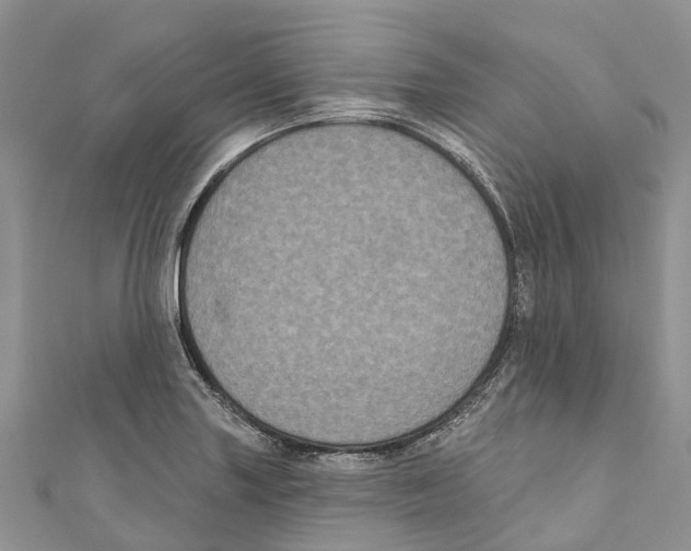 X0000111001227200907171806