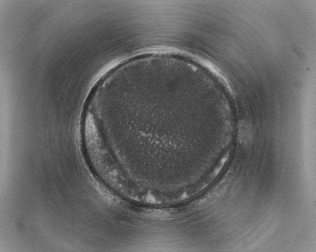 X0000111001229200907171806