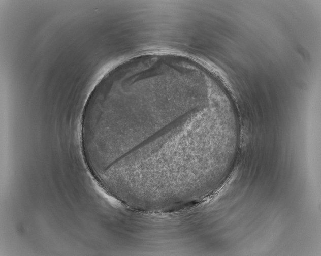 X0000111001231200907171806