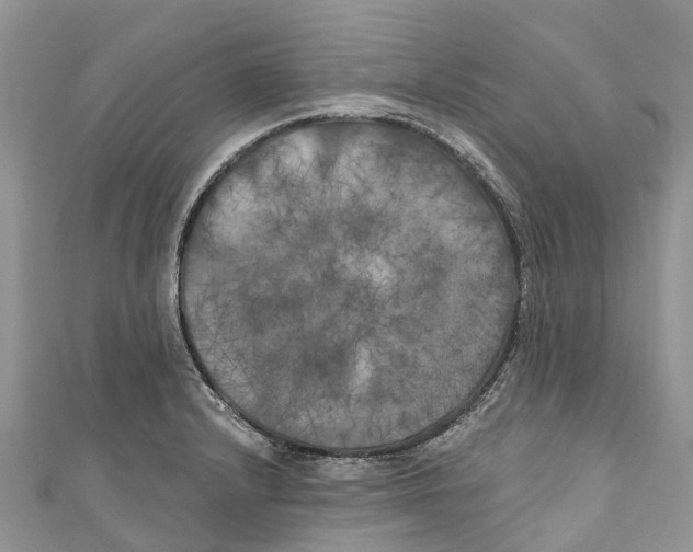 X0000111001232200907171806