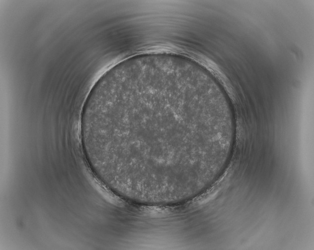 X0000111001234200907171806