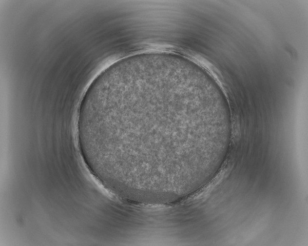 X0000111001235200907171806