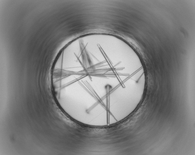 X0000111001238200907171806