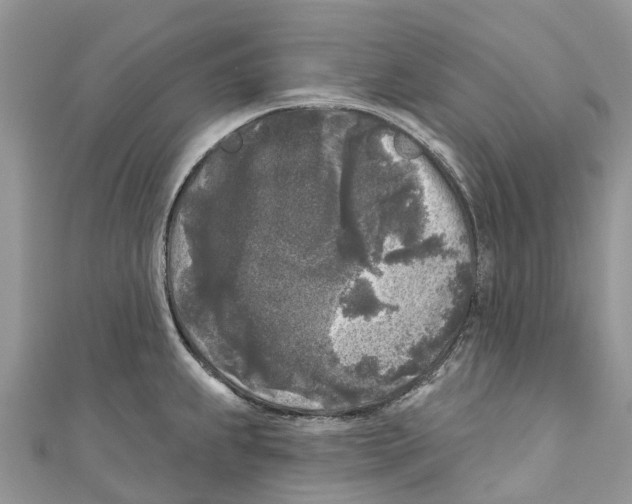 X0000111001239200907171806