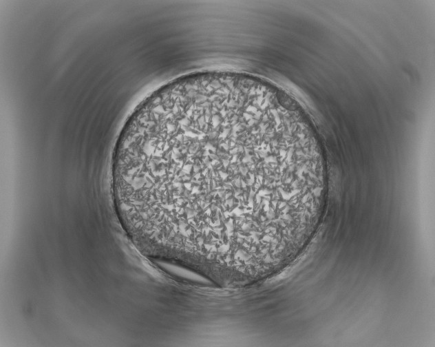 X0000111001240200907171806